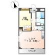 ルミナス・コートの間取図