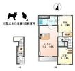 トゥルーグレイスⅢの間取図