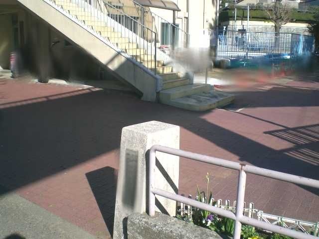 六角橋公園プール