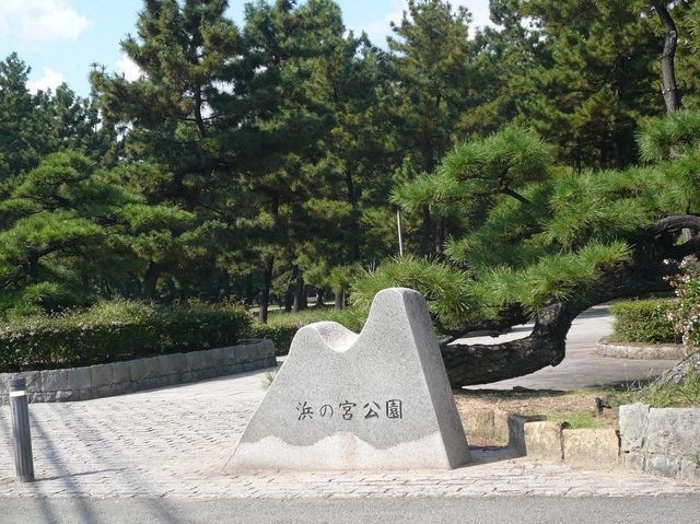 浜の宮公園