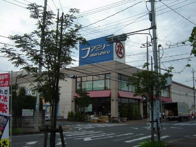 丸広百貨店日高店