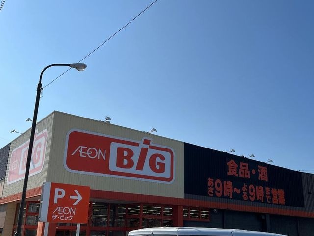 ザ・ビッグ桜木店