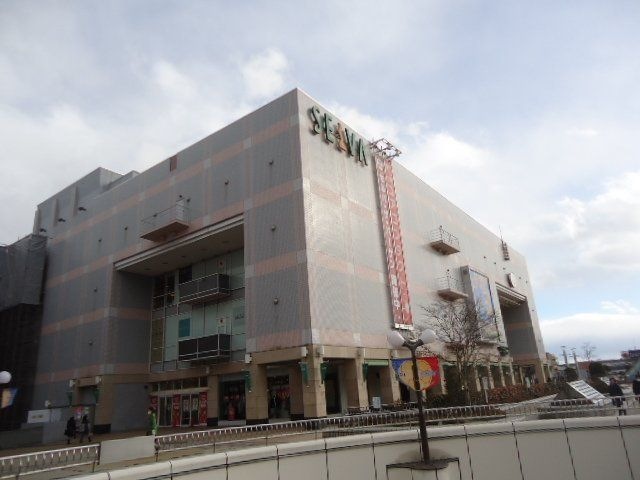 SELVA