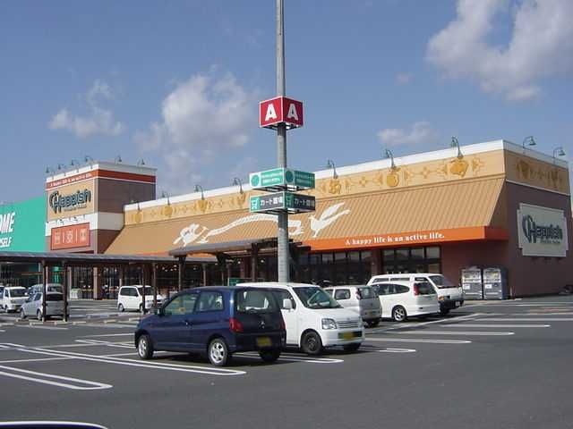 写真：ハピッシュ高野店（スーパー）