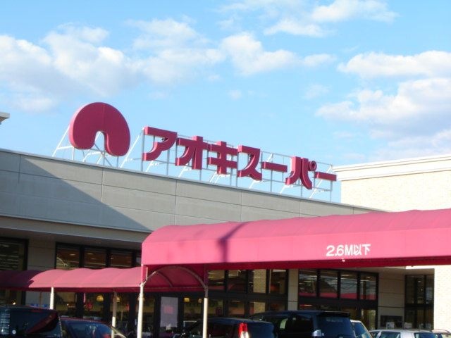 アオキスーパー(スーパー)