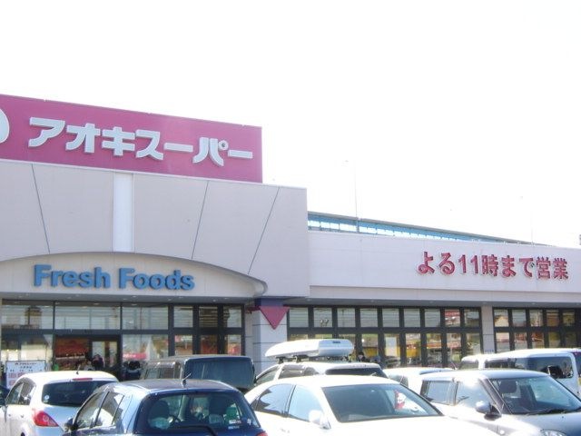 アオキスーパー大治南店