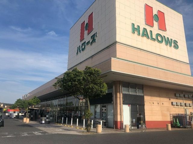 ハローズ連島店