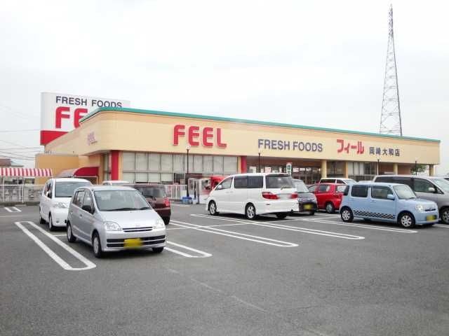 フィール岡崎大和店