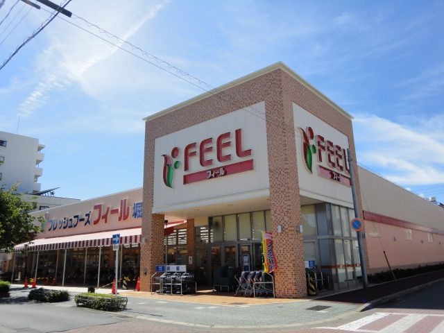 写真:フィール堀田店