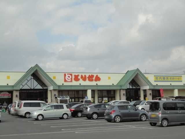 とりせん美しが丘店