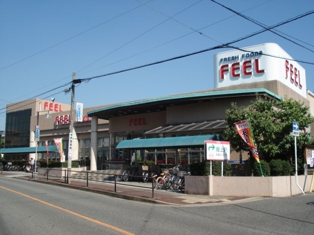 写真:フィールみかん山
