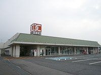 写真：カスミ中村店