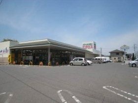ピクロス通津店(スーパー)