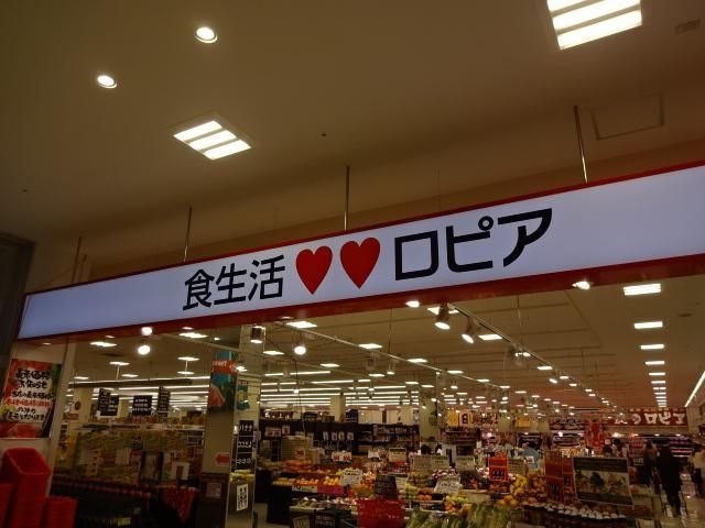 ホームメイト Ciel Sigma 中戸田 1階101