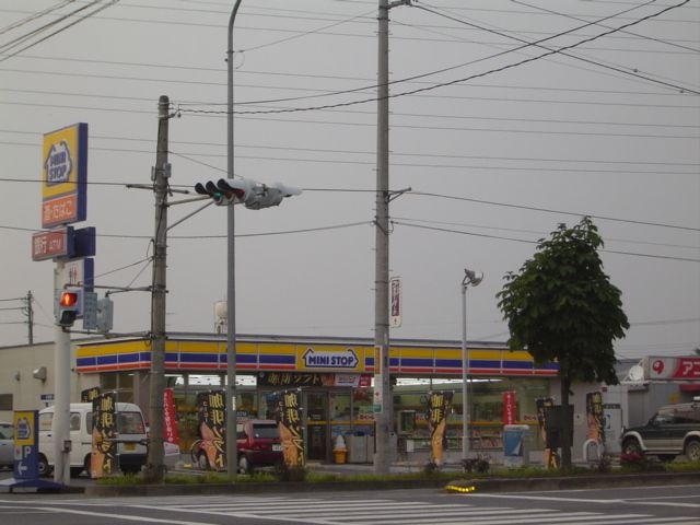 写真：ミニストップ佐野大橋店