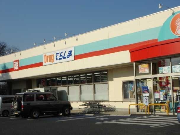 ドラッグてらしま水戸千波店
