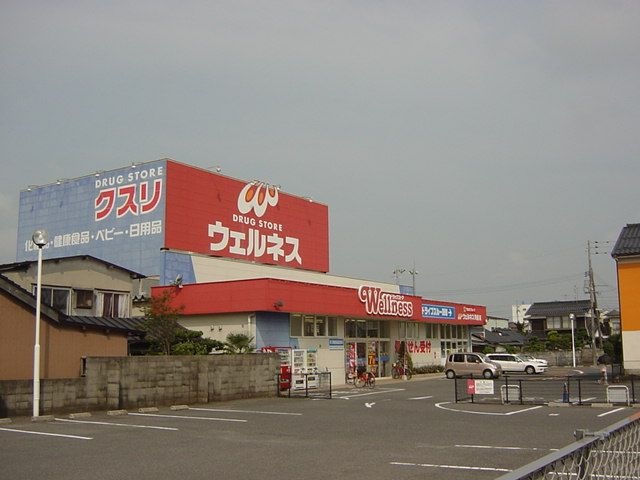 写真：ドラッグストアウェルネス角盤店