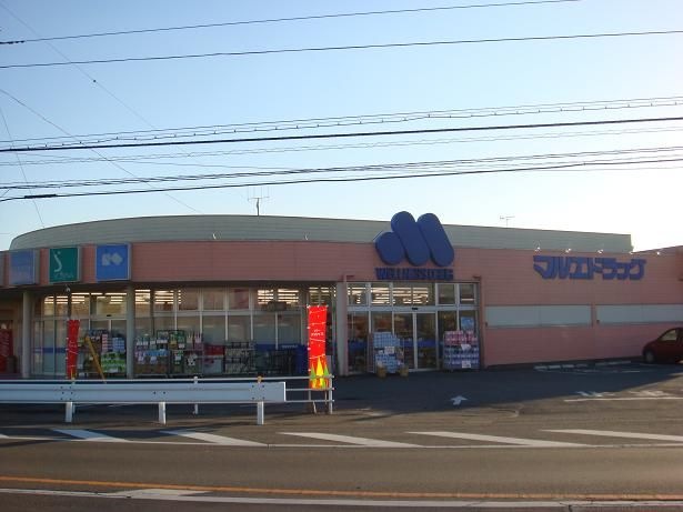 写真：マルエドラッグ倉賀野店