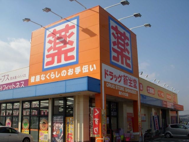 新生堂薬局東バイパス店