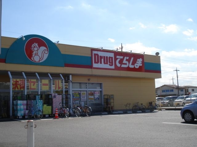 ドラッグてらしま古河総和店