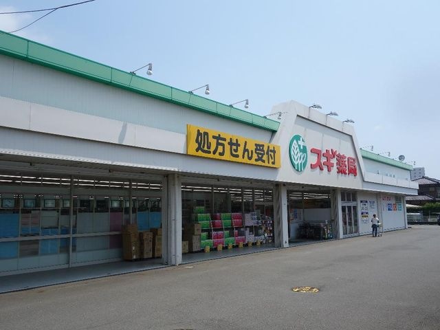 スギ薬局厚木恩名店