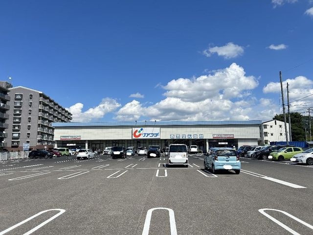 カワチ薬品福島東店
