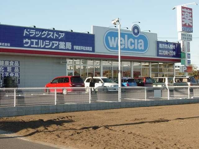 ウエルシア宇都宮平松本町店