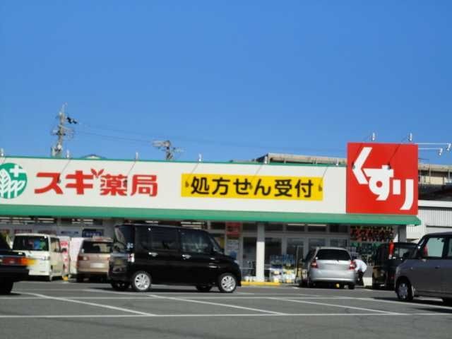 写真：スギ薬局七和店