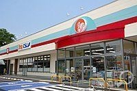 ウエルシア薬局土浦高津店