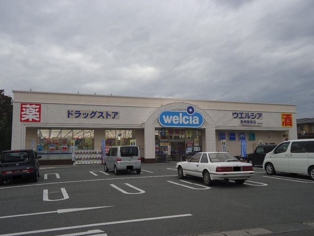 ウエルシア高崎棟高店