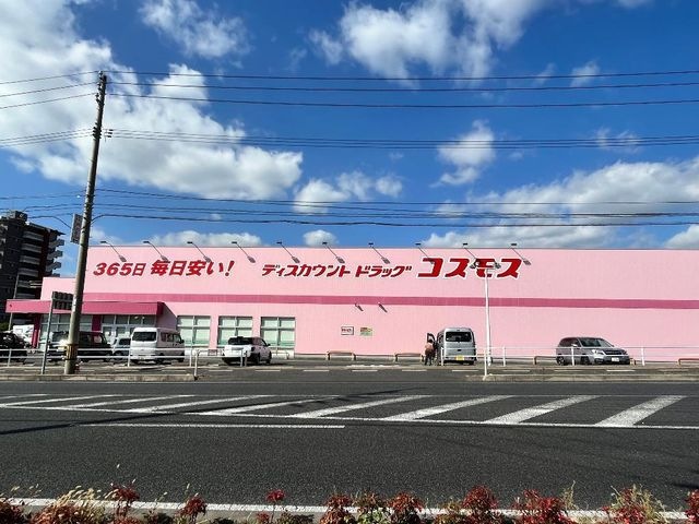 ディスカウントドラッグコスモス久米店