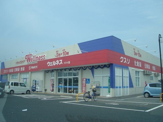 ドラッグストアウェルネスハワイ店