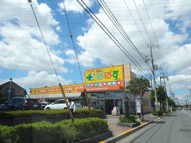 どらっぐぱぱす伊興町店