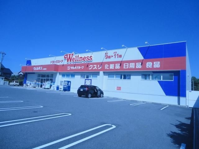 ドラッグストアウェルネス上福原店