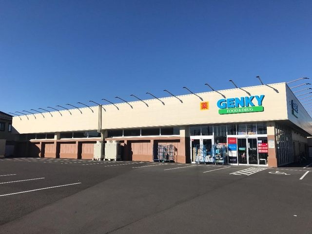 ゲンキー川島河田店