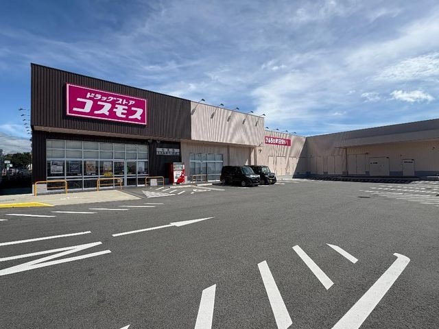 ディスカウントドラッグコスモス引水店