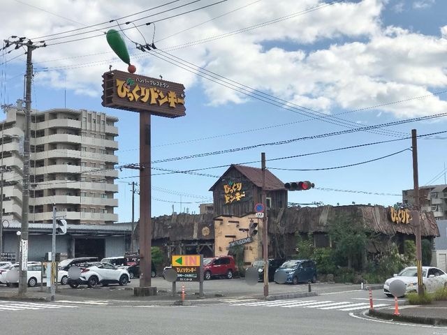 びっくりドンキー高知インター店
