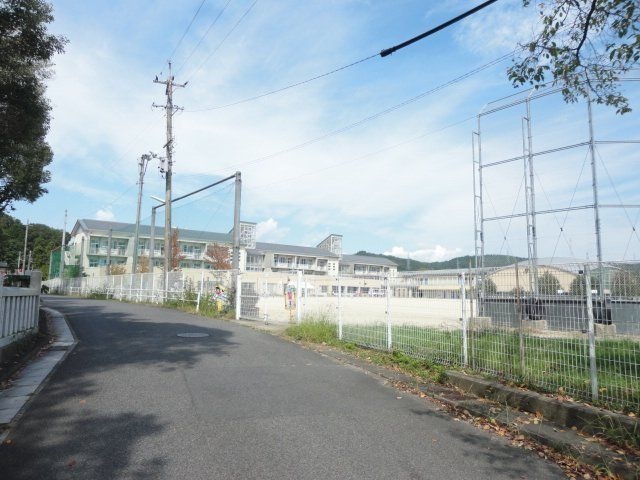 写真：土岐市立泉小学校