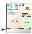 グレース川口の間取図
