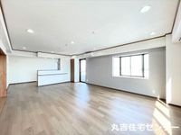 その他内観