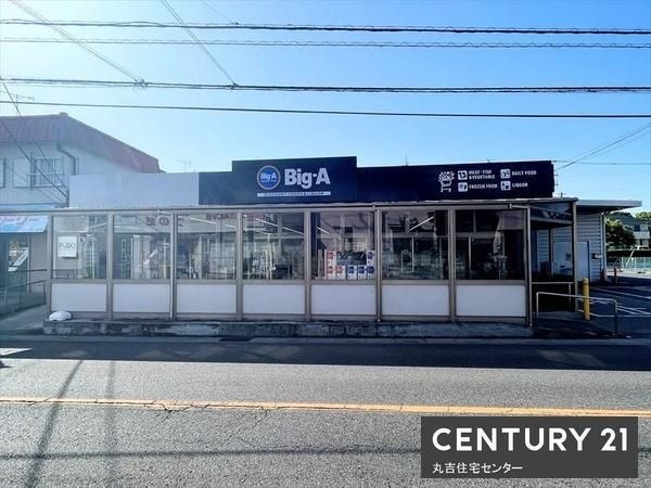ビッグ・エー 藤塚店