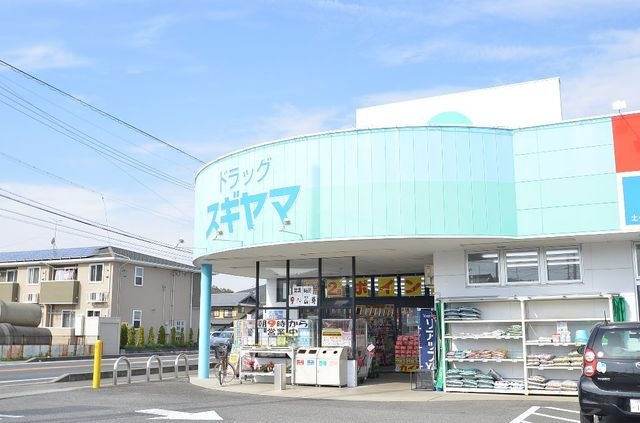 写真:ドラッグスギヤマ土岐店