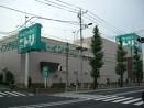 ニトリ静岡インター通り店