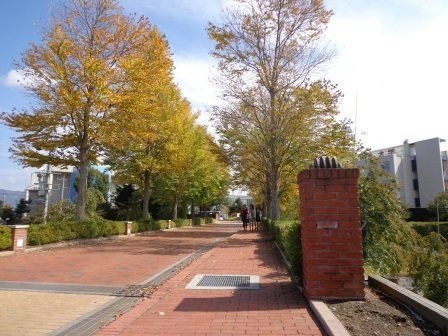 私立佐久大学