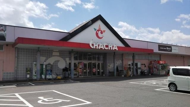 Cプラッツチャチャ
