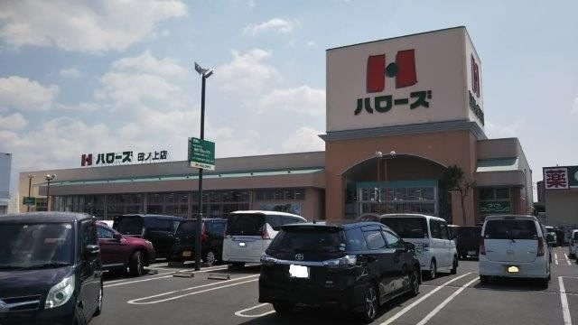 ハローズ田ノ上店