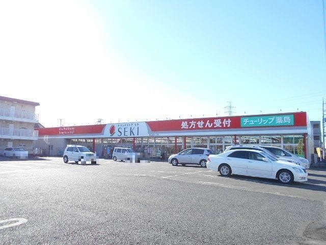 ドラッグストアセキ春日部中央店