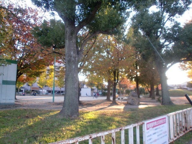 中島中央公園