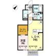 D-room蓮町の間取図