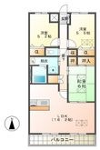 ルネス石津の間取図